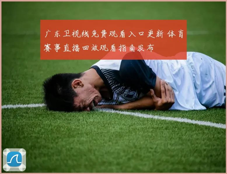 广东卫视线免费观看入口更新 体育赛事直播回放观看指南发布
