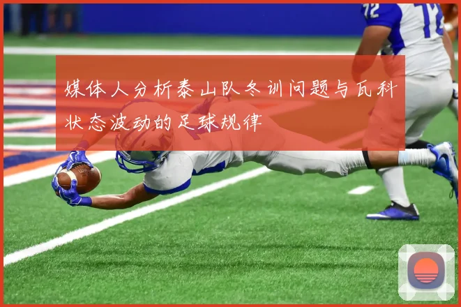 媒体人分析泰山队冬训问题与瓦科状态波动的足球规律