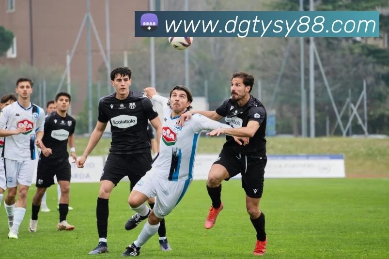 米兰app体育网页版APP 体育赛事宣传图